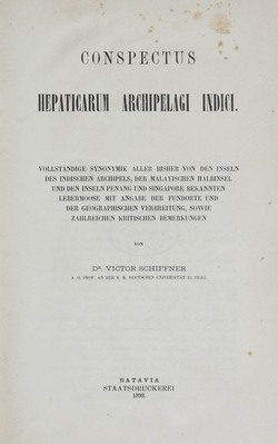 13679
          <br/>
          Conspectus hepaticarum Archipelagi Indici.
          <br/>
          <em></em>